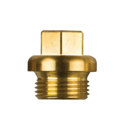 Textron-Weber Motor Brass Plug th.20x1,5 voor Staafanode