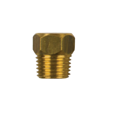 "Ford Messing Plug, Dikte 1/4"", BSPT-aansluiting"
