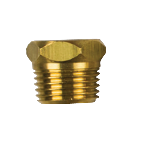 "Ford Messing Plug, Diameter 1/2"", BSPT-aansluiting"