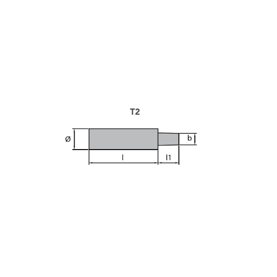 AIFO-FTP pencil anode Ø 14 L.28