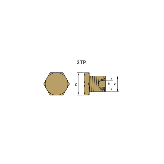 AIFO-FTP brass plug th. 10X1  for pencil anode